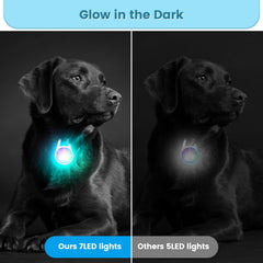 POEEY clip-on dog light in RGB mode adds colorful visibility for signaling.