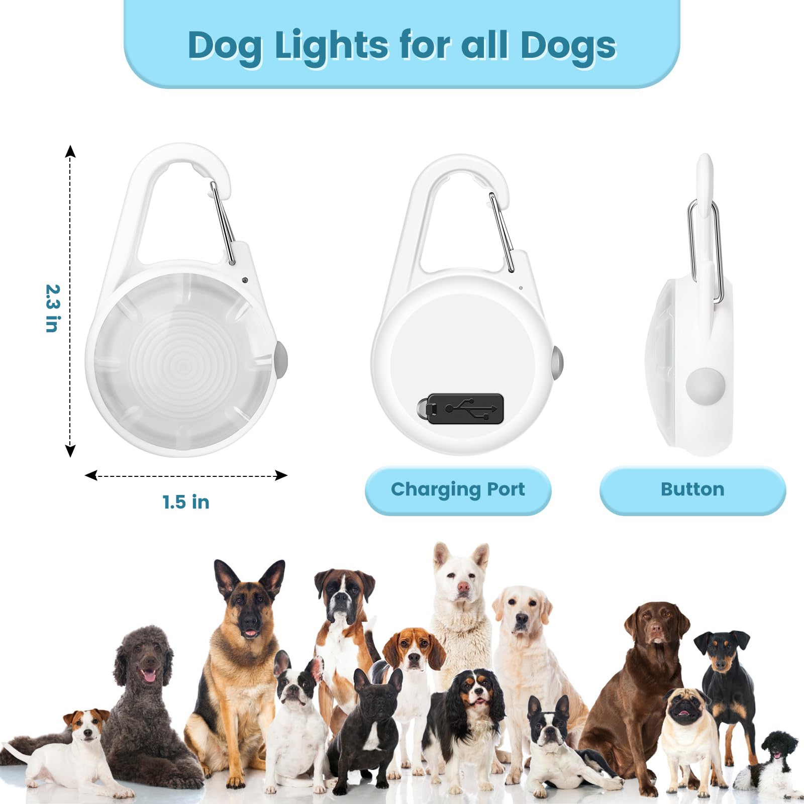 POEEY lightweight dog light barely weighs on the leash during hikes.