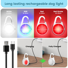 POEEY night-walking dog collar light with a bright beam for safe late strolls.