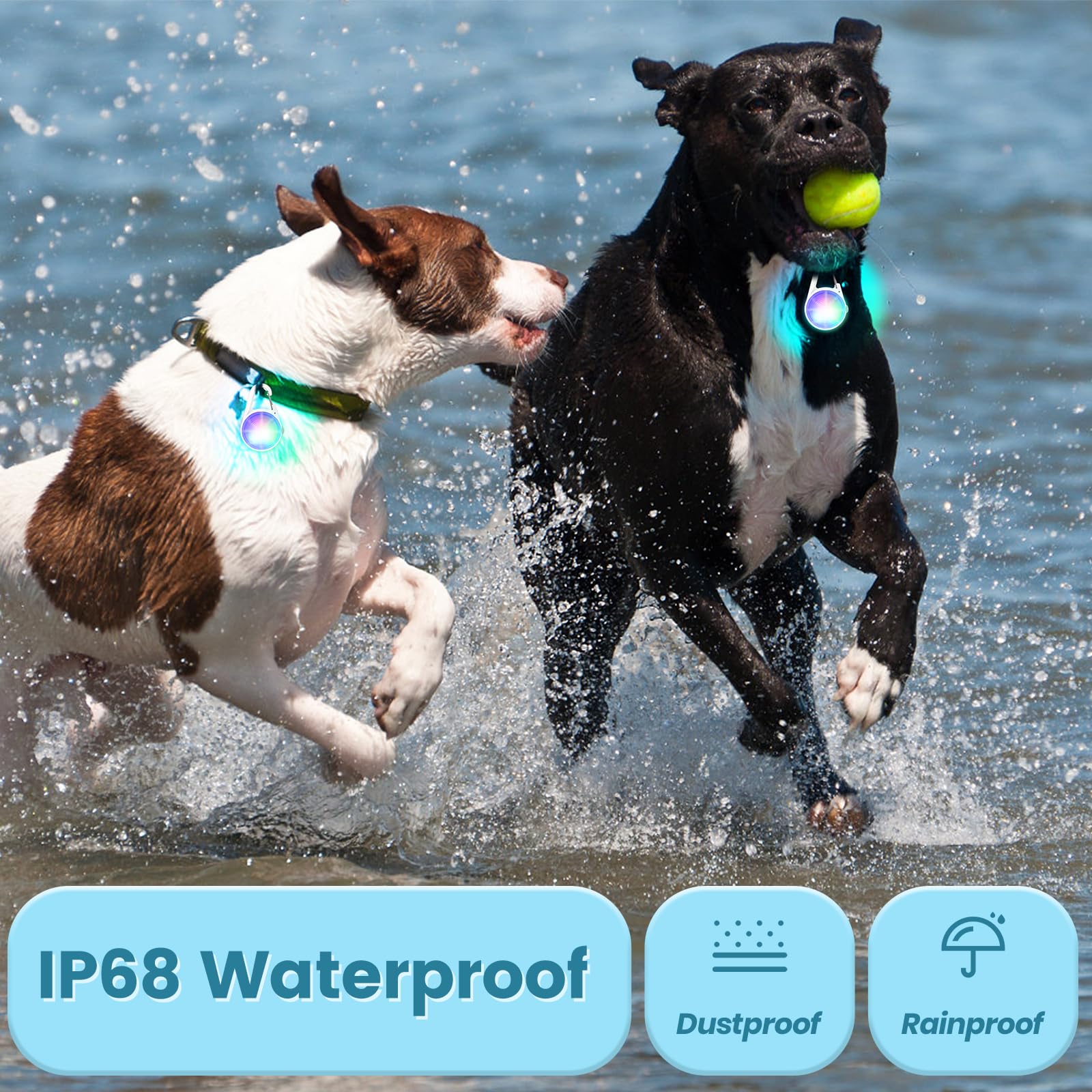 POEEY waterproof dog lights withstand rain and mud for outdoor adventures.