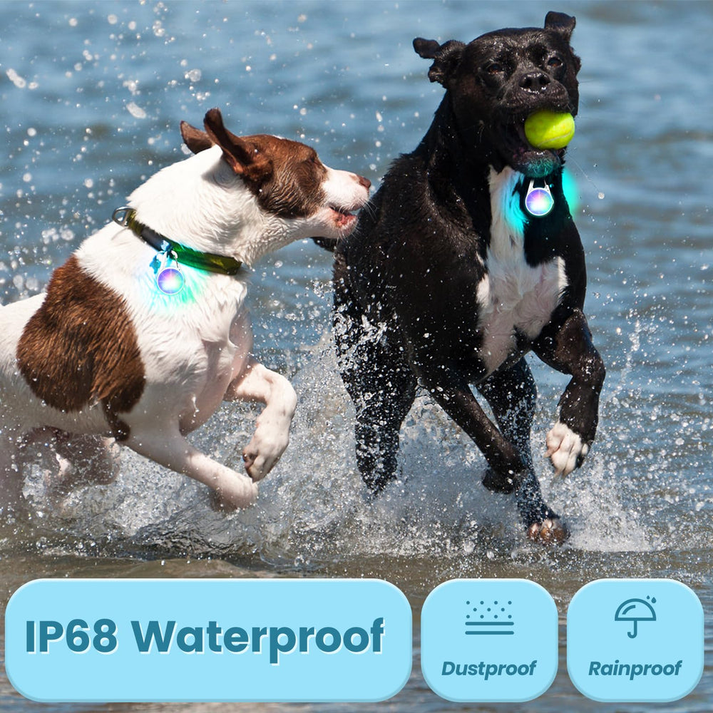 POEEY waterproof dog lights withstand rain and mud for outdoor adventures.