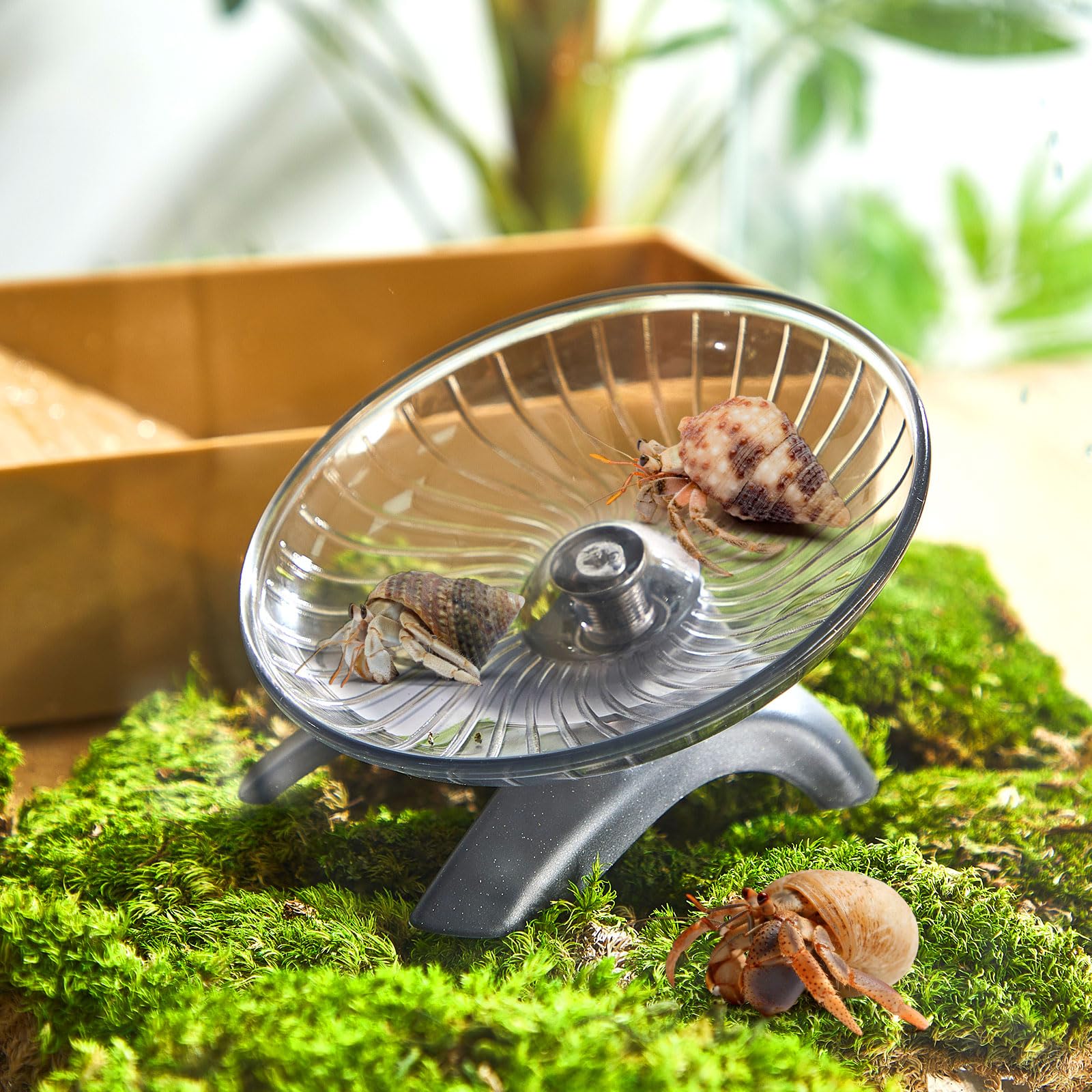 Poen wheel as a versatile tank accessory supports various small pets.