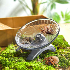 Poen wheel as a versatile tank accessory supports various small pets.