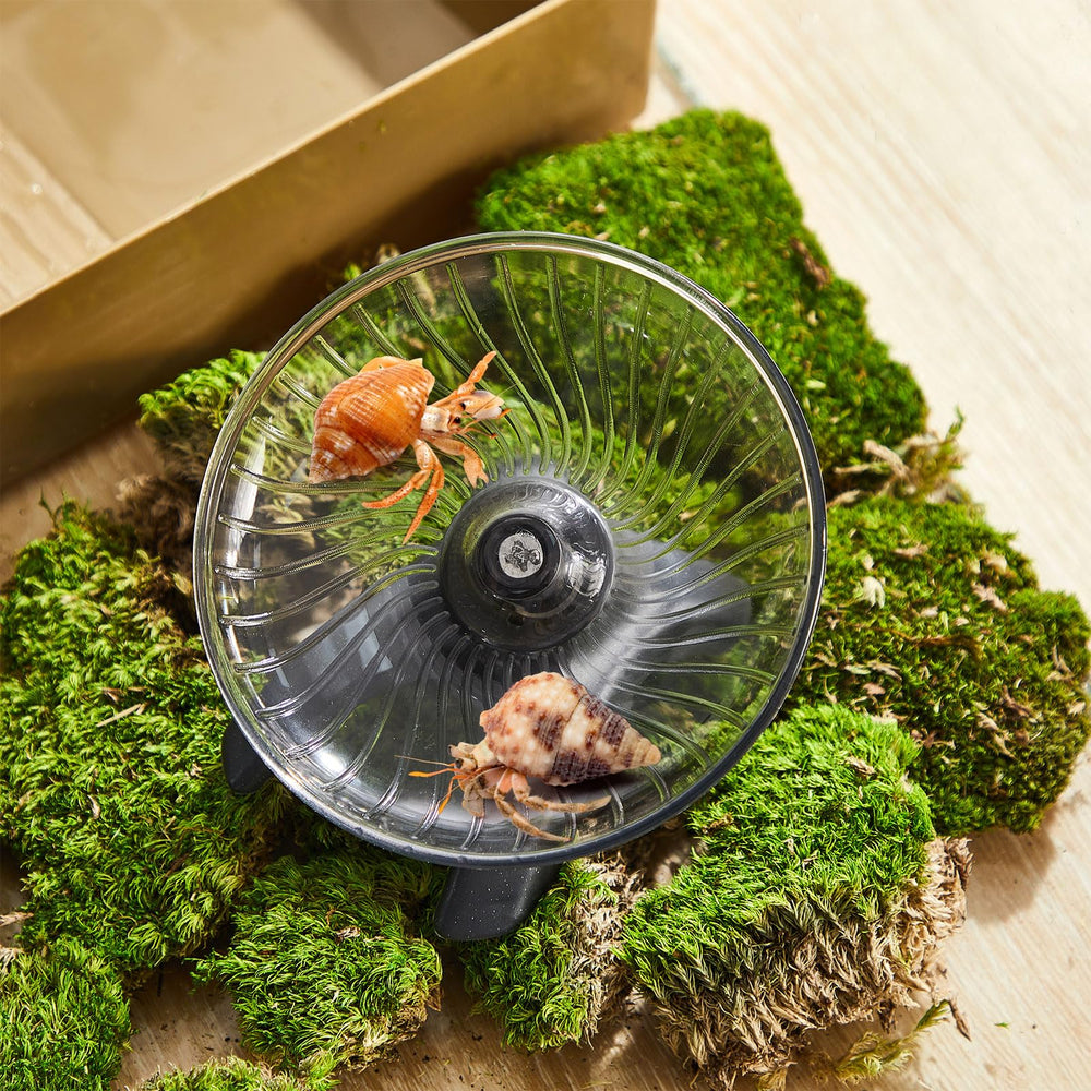 Poen wheel's stable design reduces tipping while easy to clean.