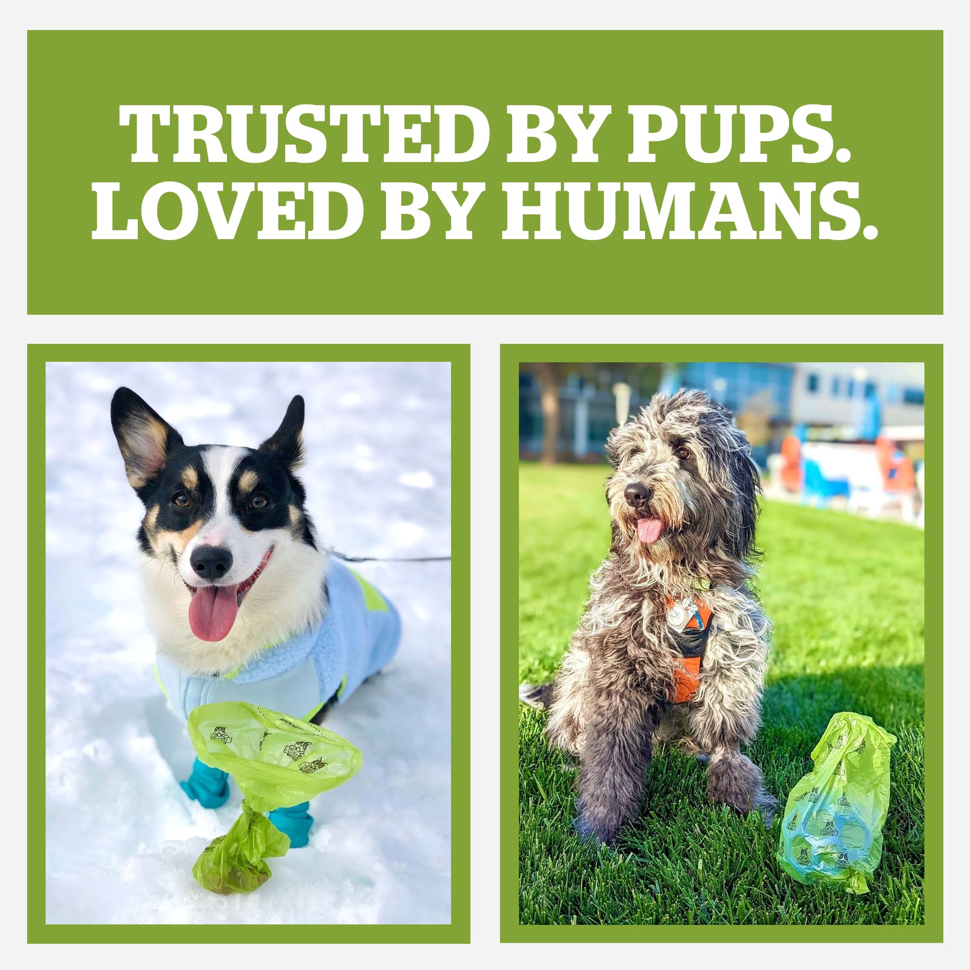 Yard cleanup with Pogi's compostable poop bags ready for outdoor use