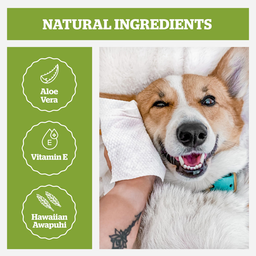 Pogi's dog grooming wipes 8x9-inch square illustrates extra-large size for paws and coats.