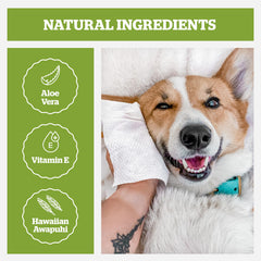 Pogi's dog grooming wipes 8x9-inch square illustrates extra-large size for paws and coats.