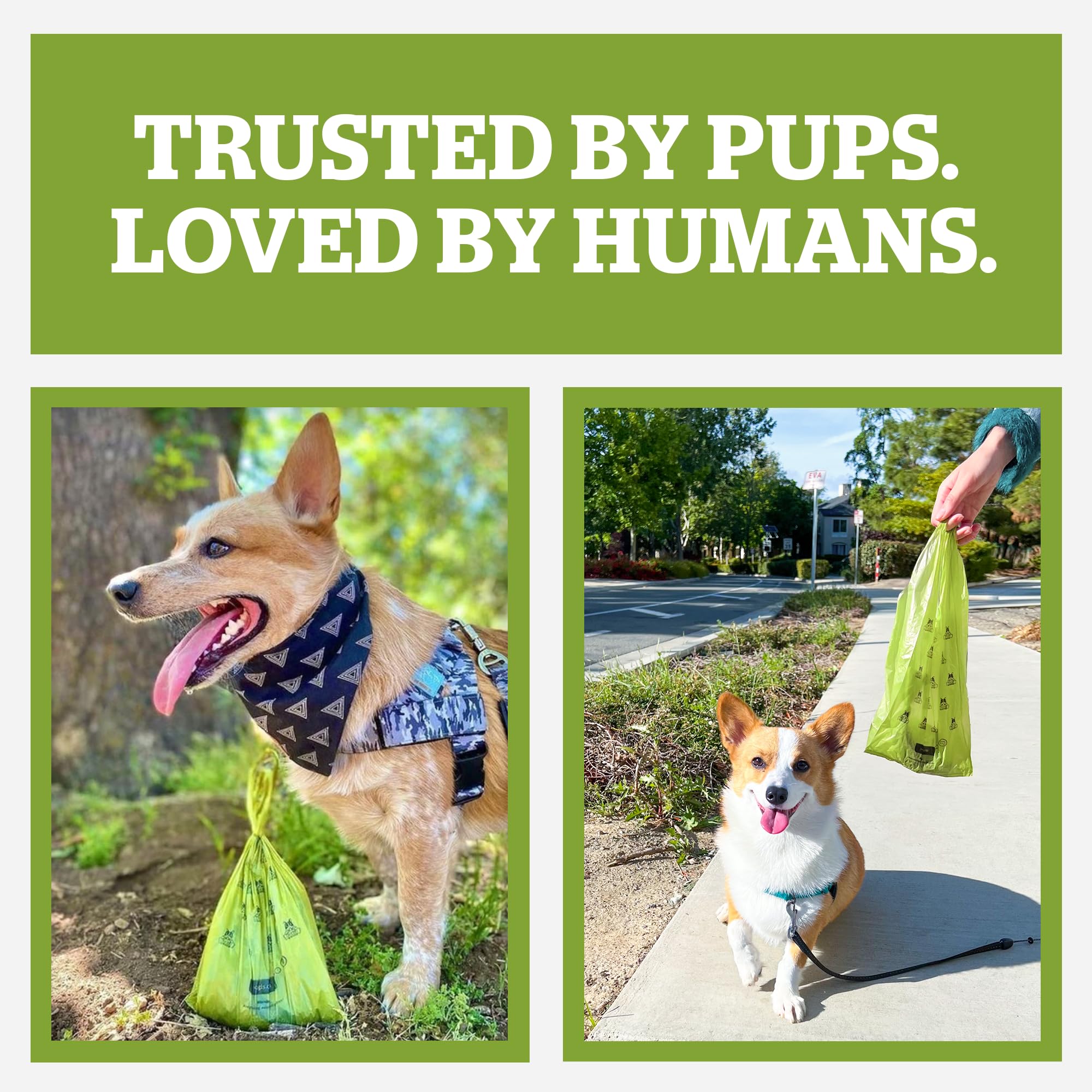 Pogi's Dog Poop Bags unscented design for fragrance-free waste handling