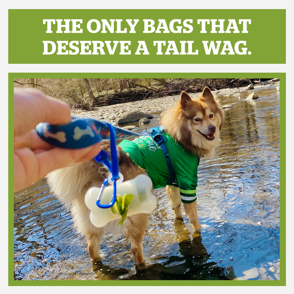 Pogi's Poop Bag Dispenser showing the metal carabiner clip for secure attachment.