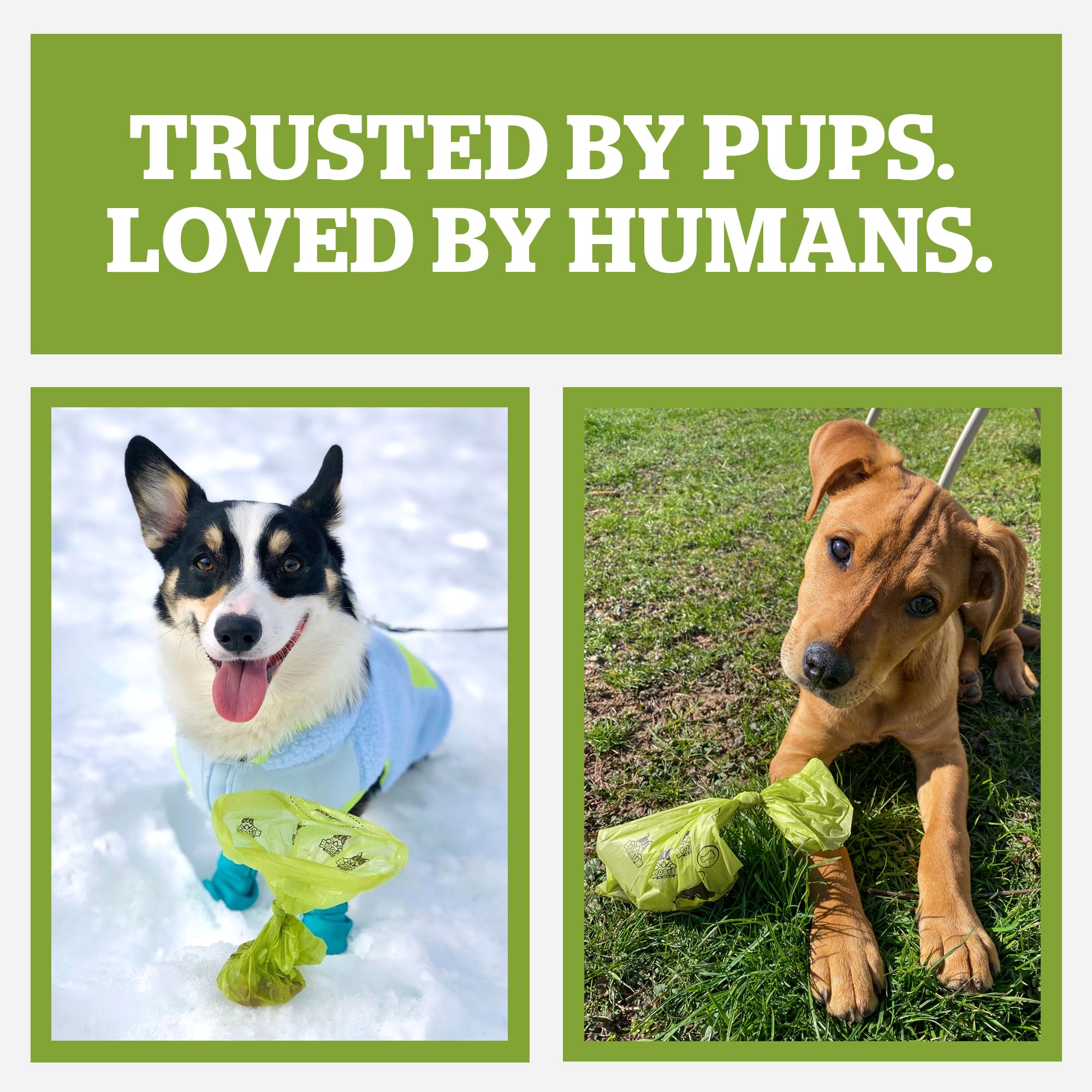 Pogi's Poop Bags unscented to prevent overpowering smells near noses.