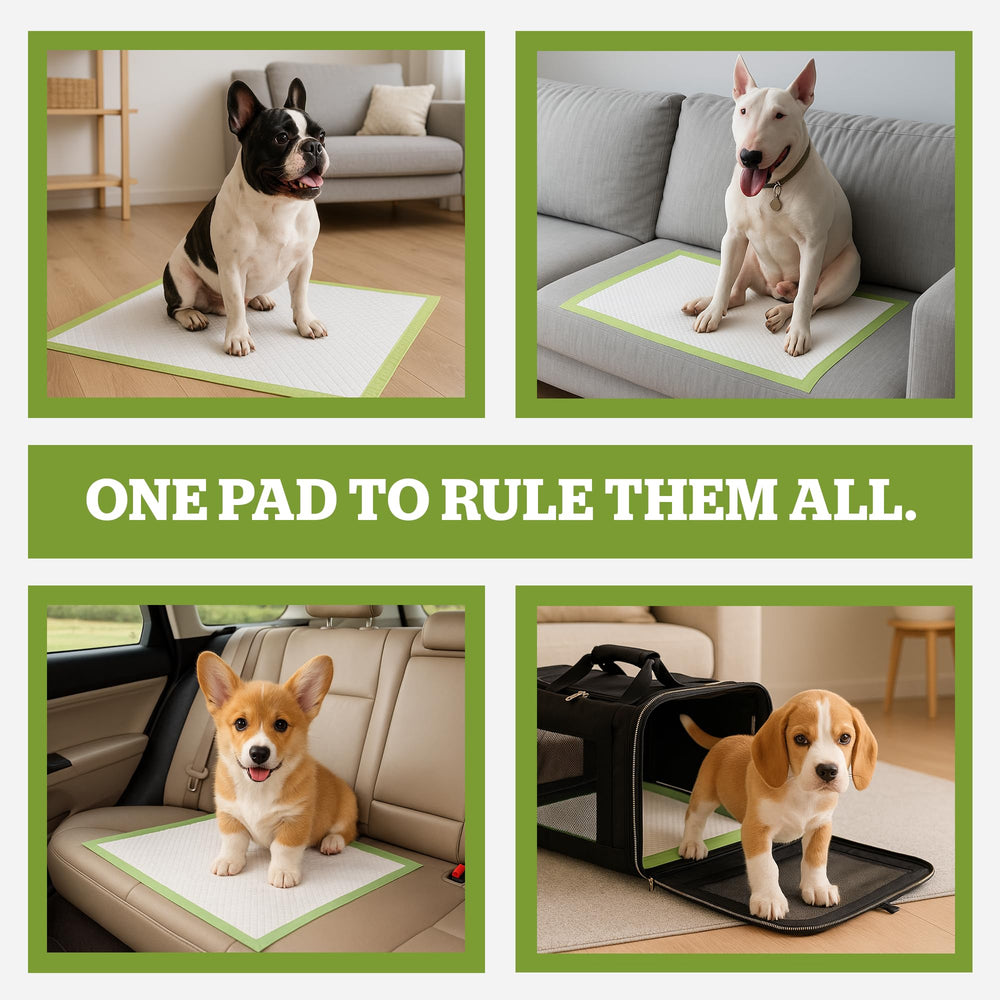 Pogi's Puppy Pads 18x24 compact size image emphasizes space-saving training pads