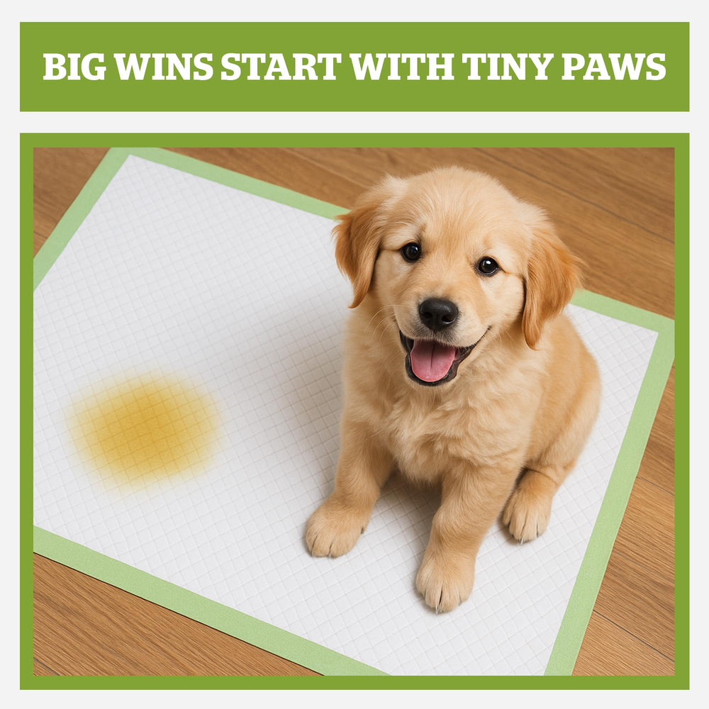 Pogi's Puppy Pads honey attractant guides puppies to the pad for quicker house training.