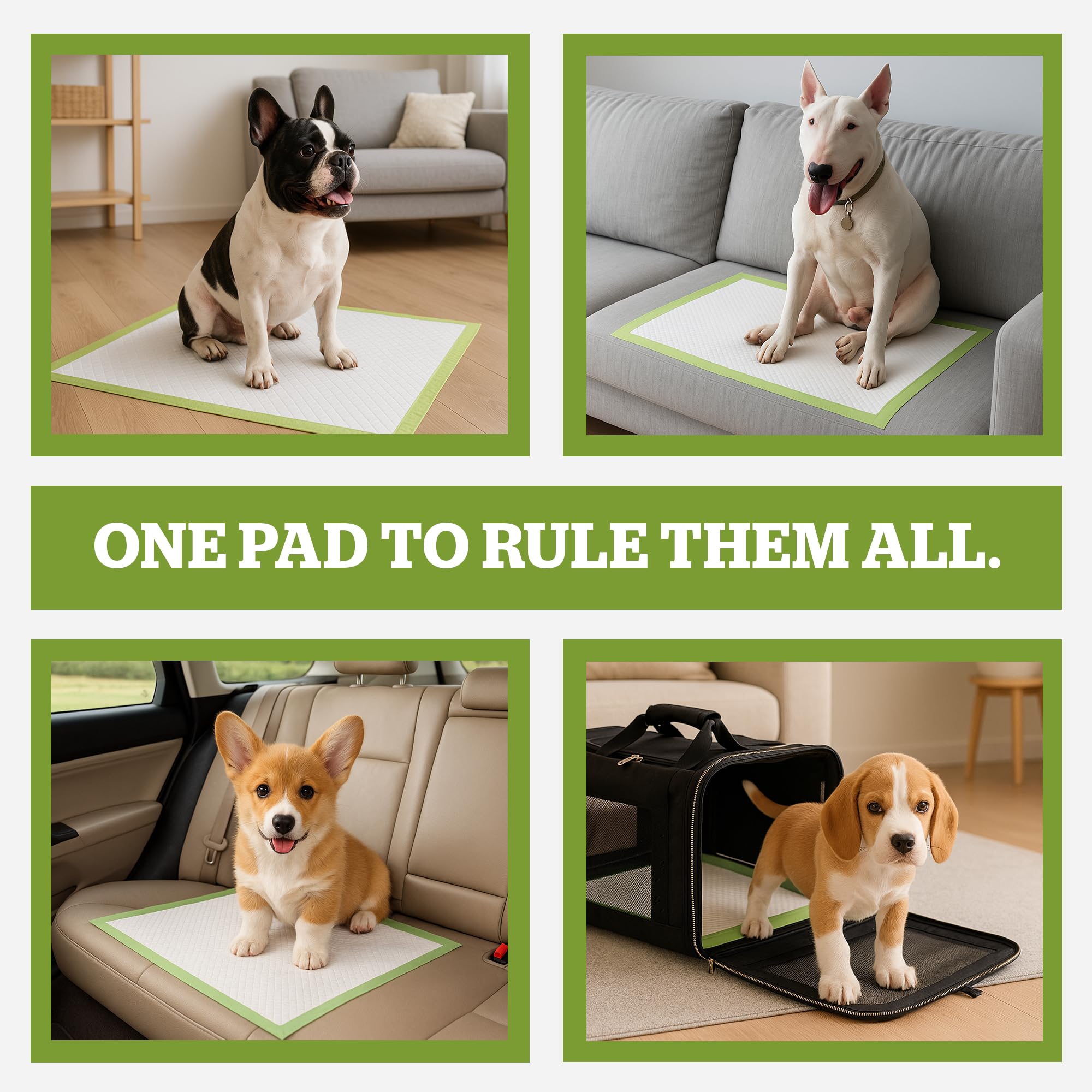 Pogi's Puppy Pads plant-based liner minimizes drip-through and simplifies cleanup.