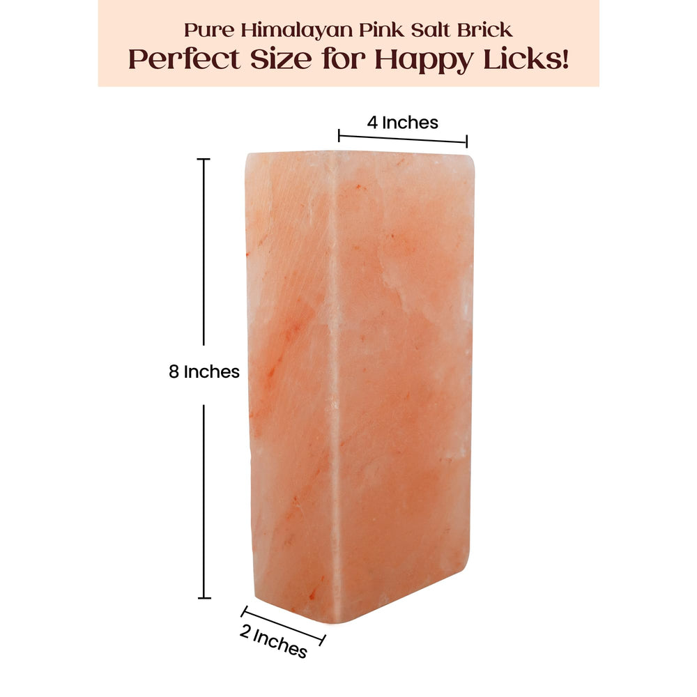 POHS Himalayan salt block 8x4x2 size shown beside feeding station.