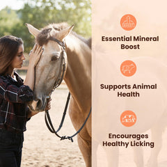 POHS Himalayan salt block used by horses during turnout for mineral intake.