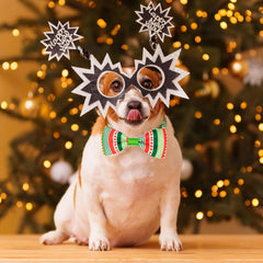 Pohshido bow tie adds festive charm to small and medium dogs