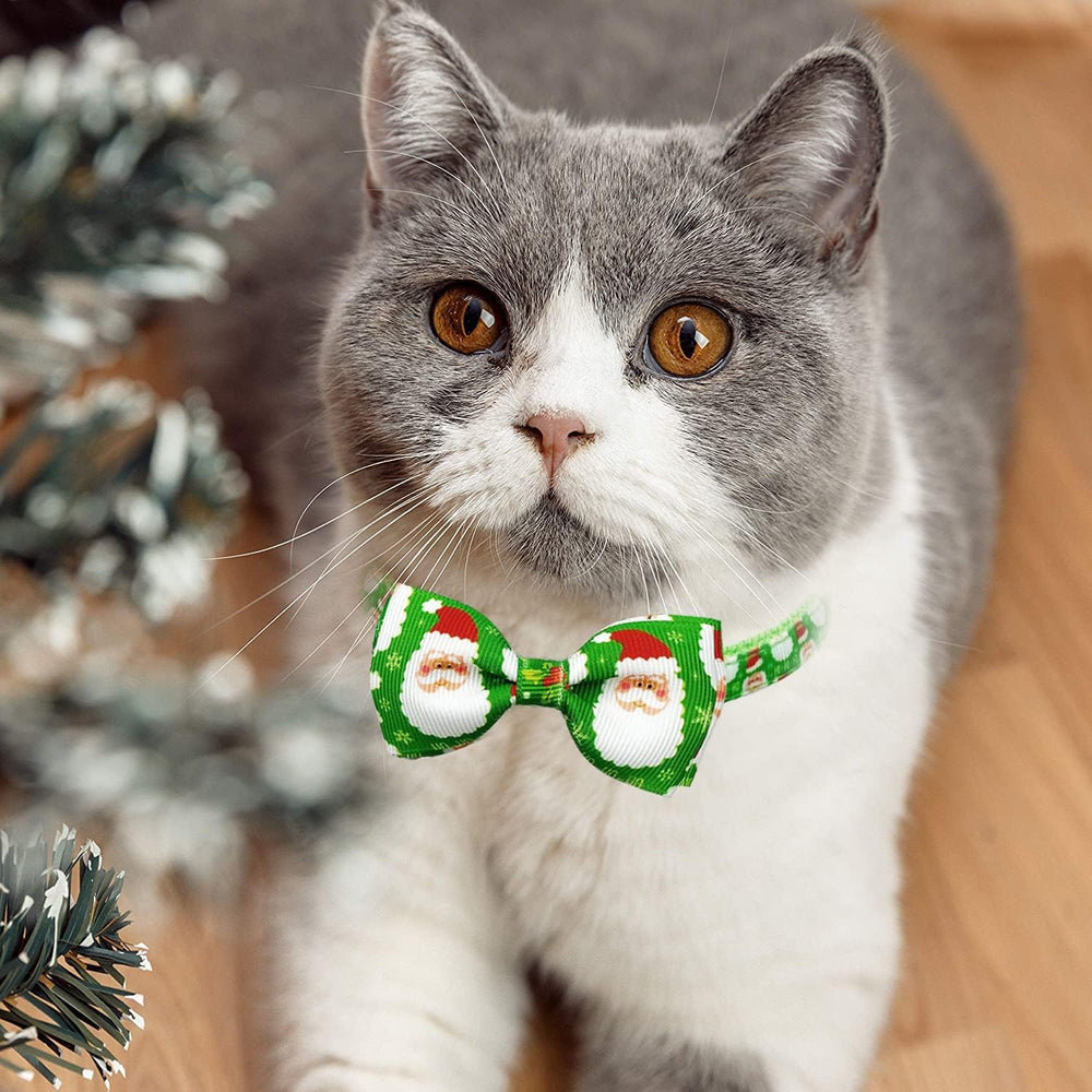 Pohshido cat bow tie collar adjustable strap demonstrates secure fit for various cat sizes
