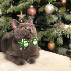 Pohshido cat bow tie collar two-pack display image demonstrates value and convenient rotation