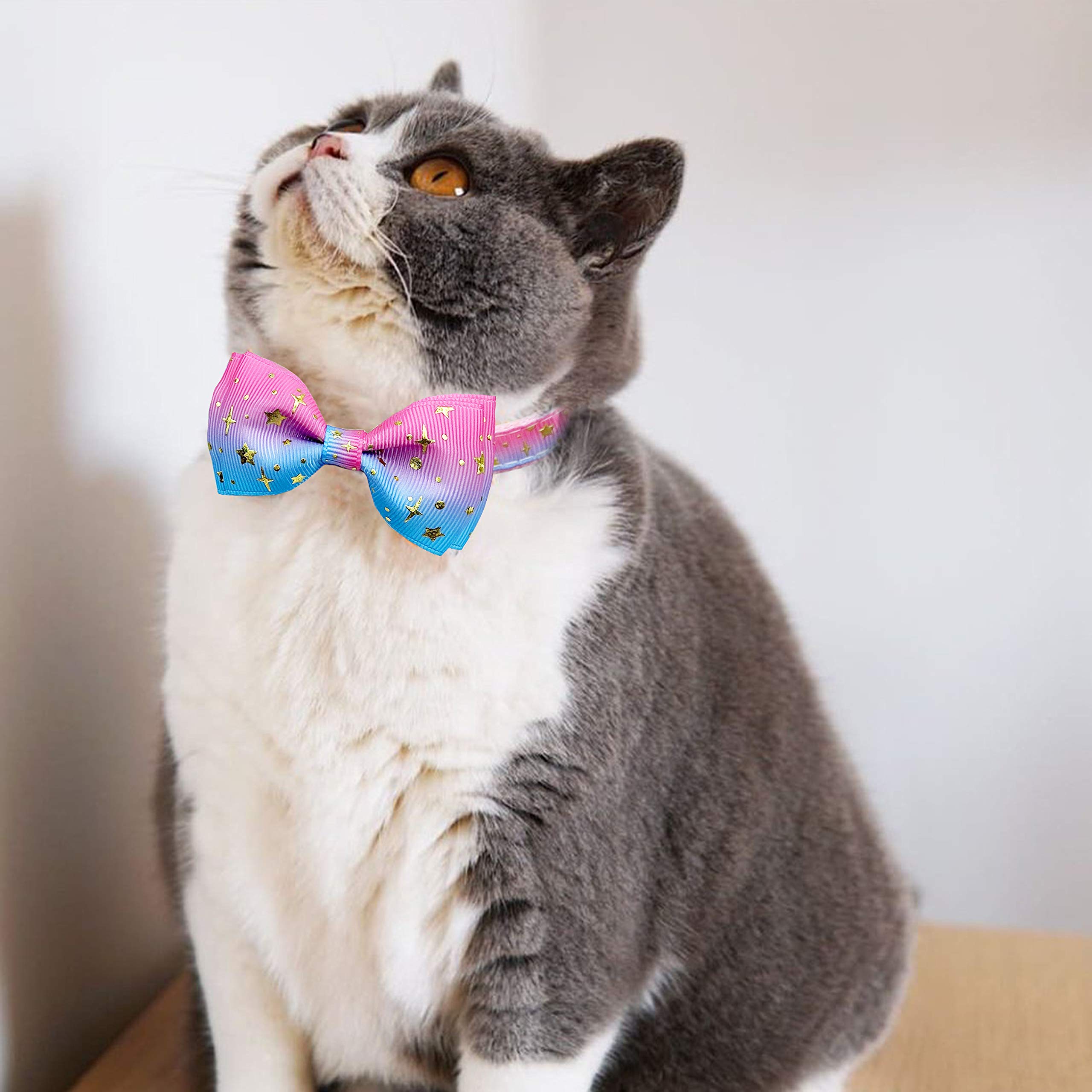 Pohshido cat collar with bell detail for audible cue.