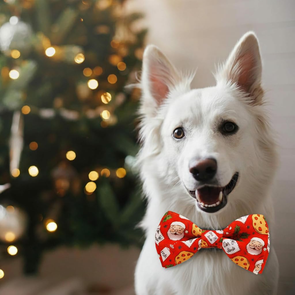 Pohshido detachable bow-tie on collar for versatile looks.