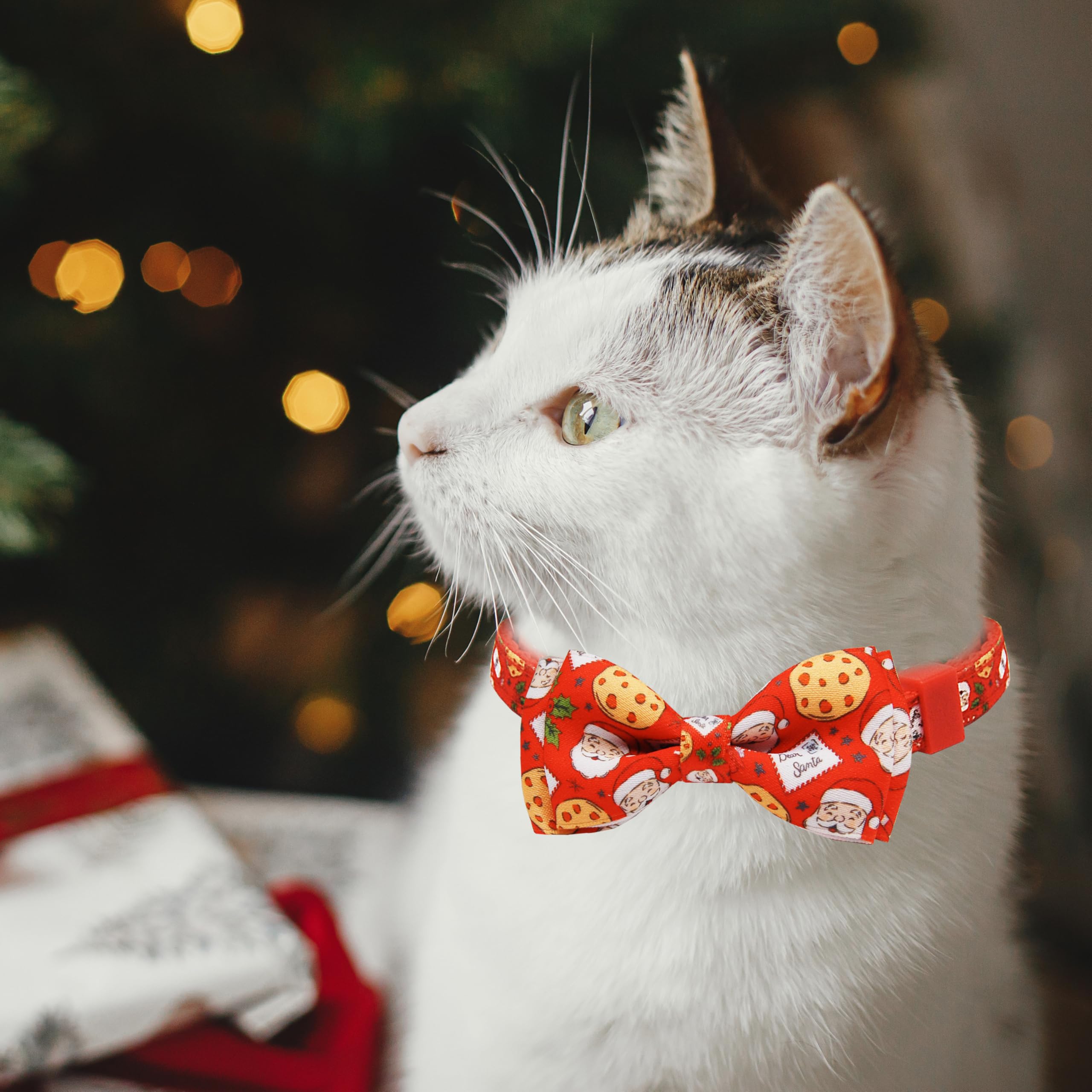 Pohshido durable soft fabric collar for gentle wear during holiday adventures.