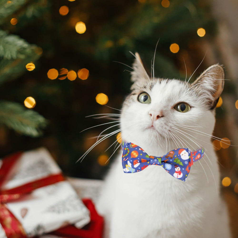 Pohshido festive collar shown during holiday photoshoot, great for memorable portraits.