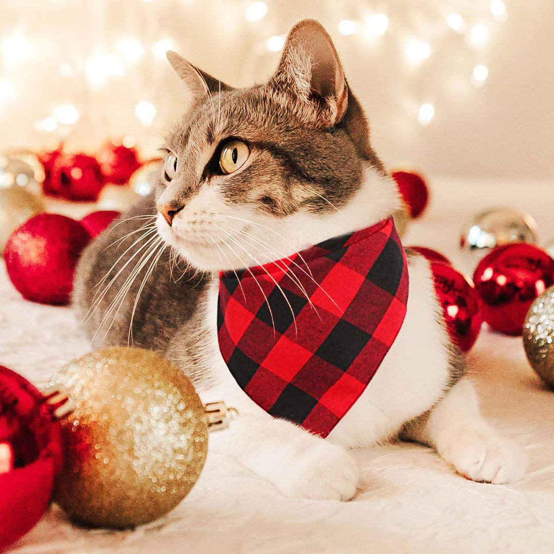 Pohshido holiday-ready pet accessory for celebrations