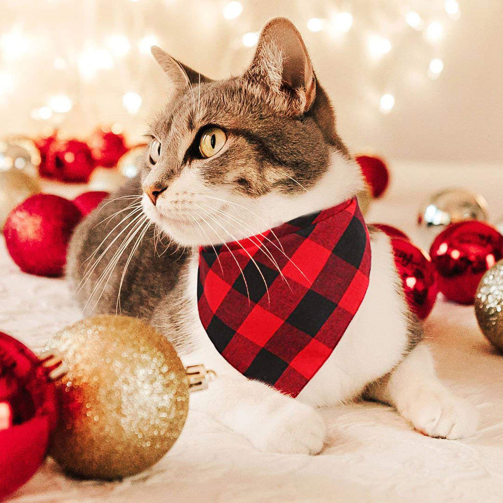 Pohshido holiday-ready pet accessory for celebrations