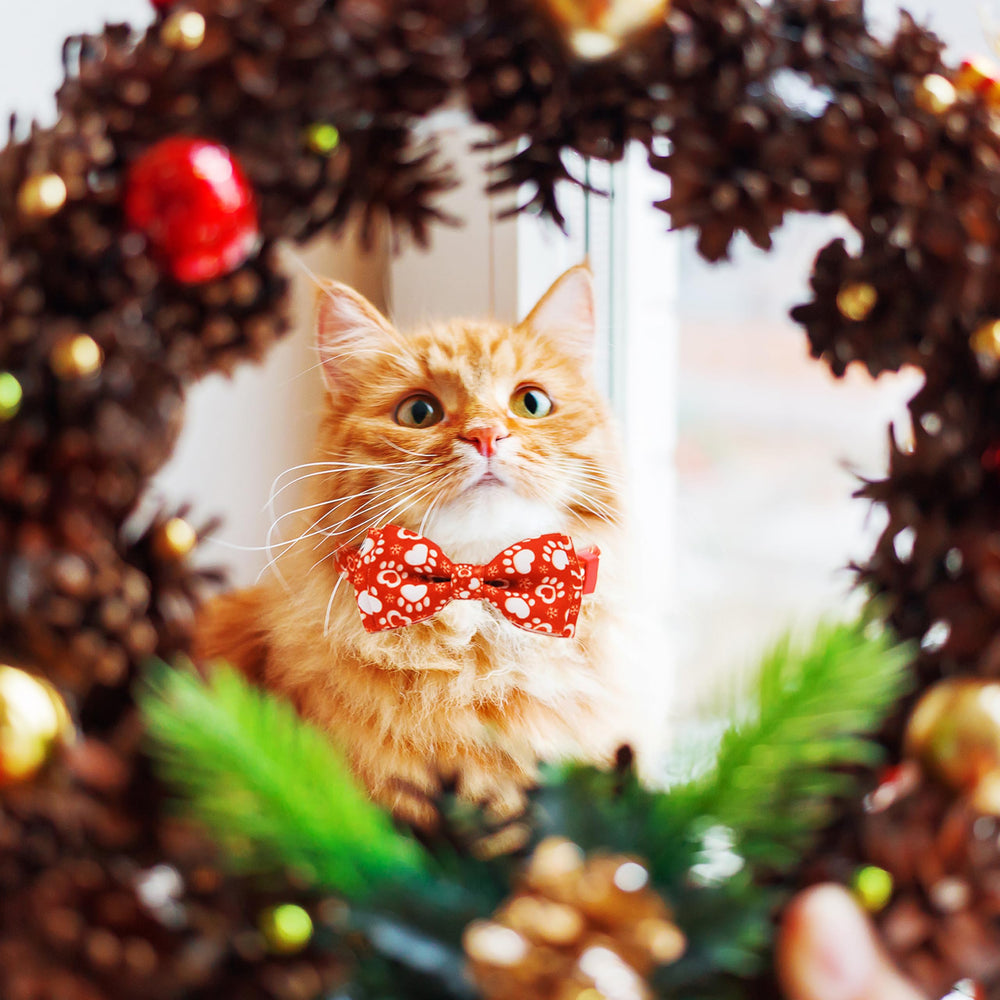 Pohshido removable bow-tie collar offers versatile holiday styling