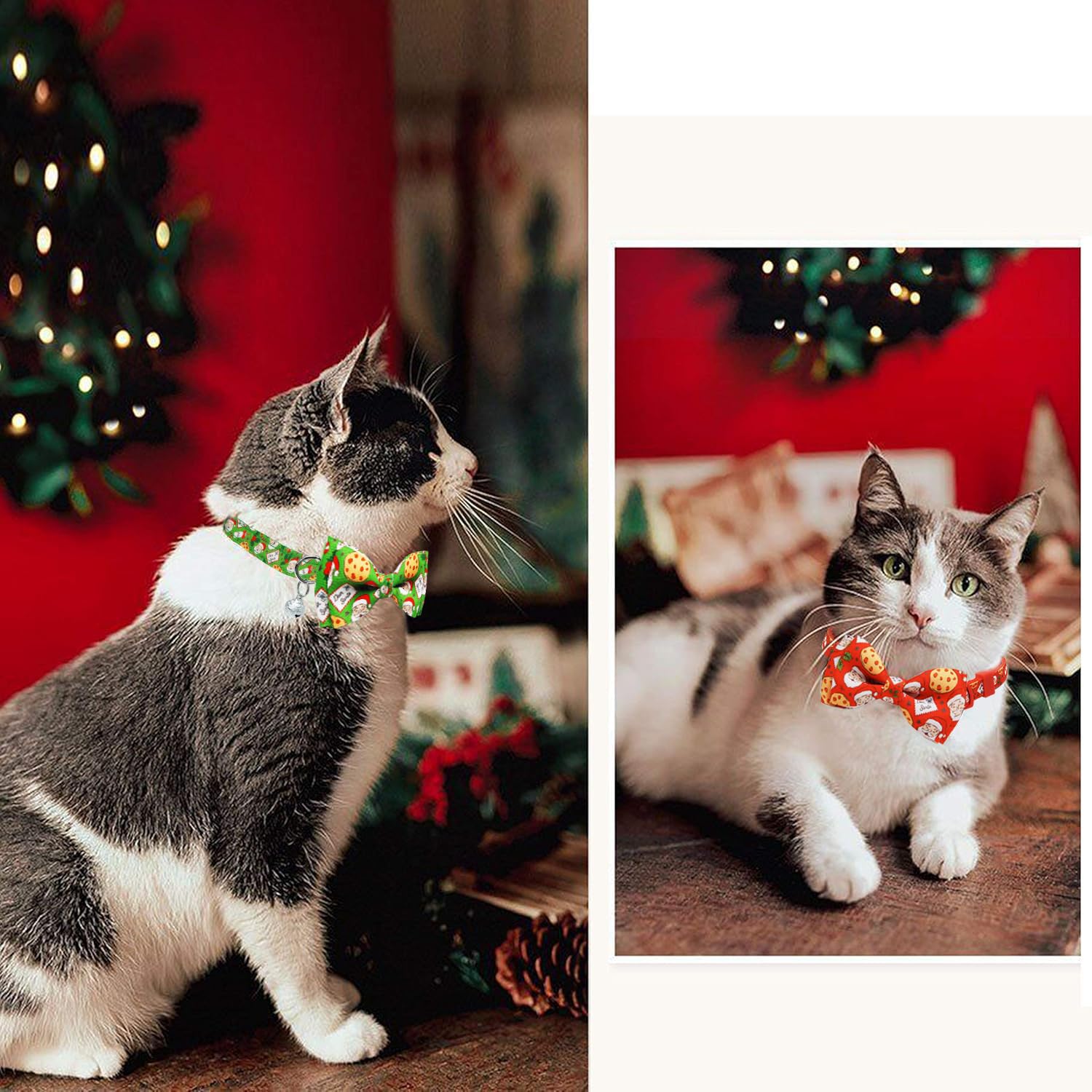 Pohshido removable bow tie detail on a stylish festive collar.