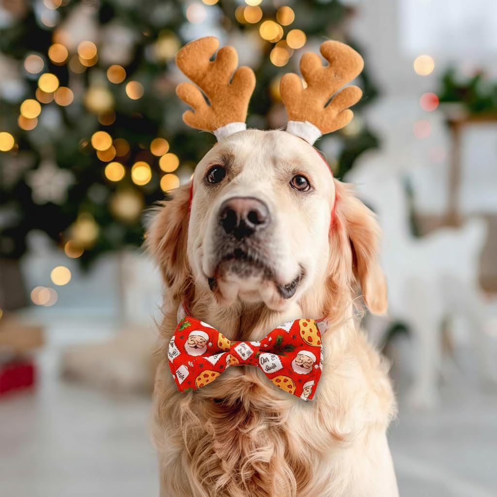 Pohshido Santa cookies pattern on collar for holiday photos.
