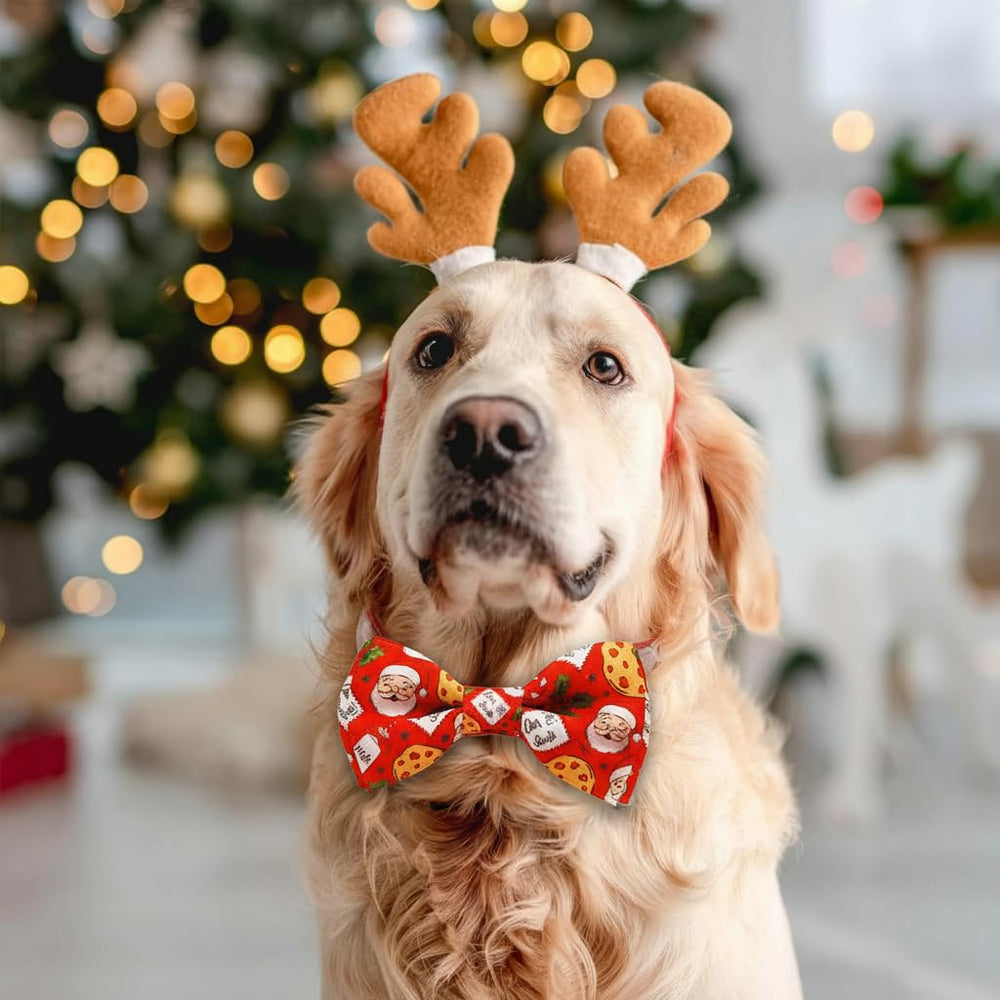 Pohshido Santa cookies pattern on collar for holiday photos.