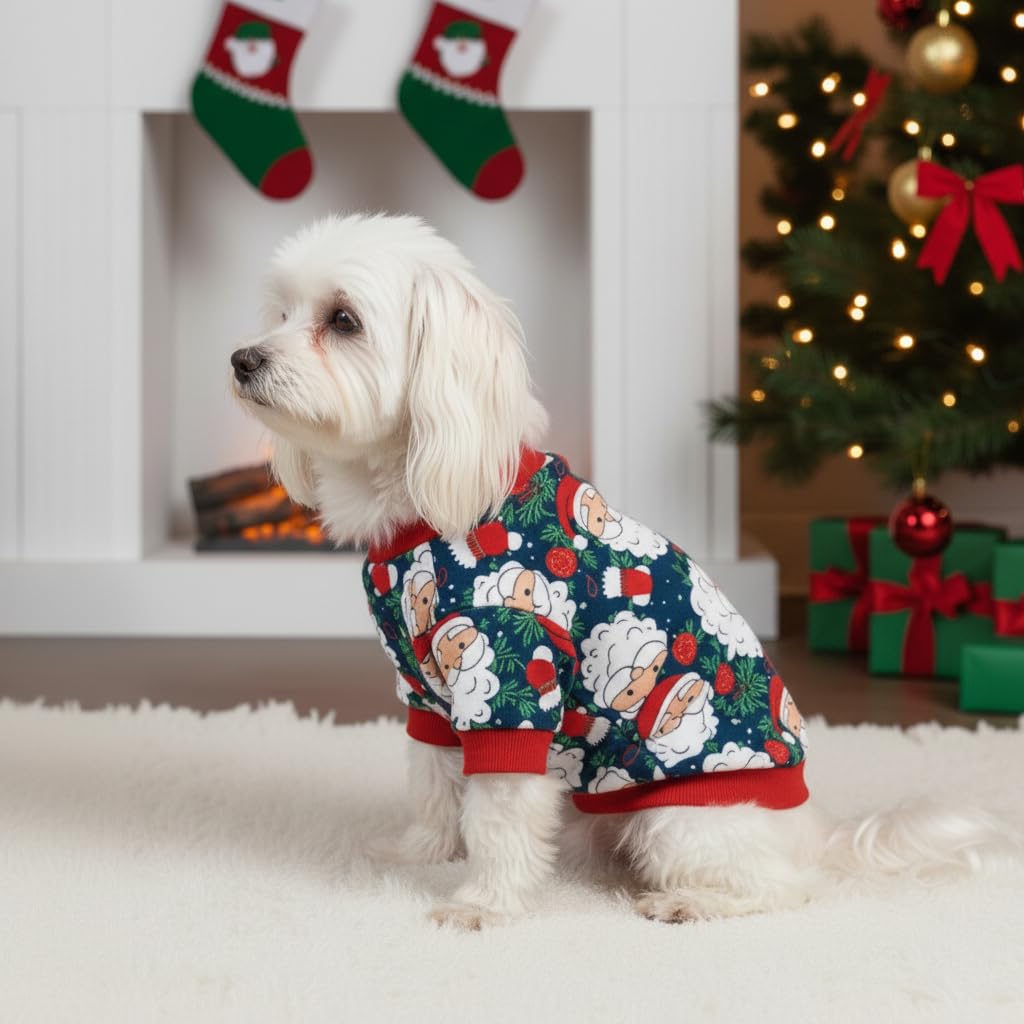 Pohshido Santa Pajama holiday card photo ready