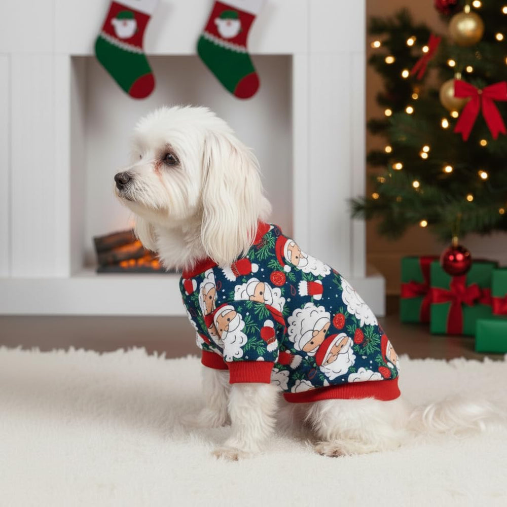 Pohshido Santa Pajama holiday card photo ready