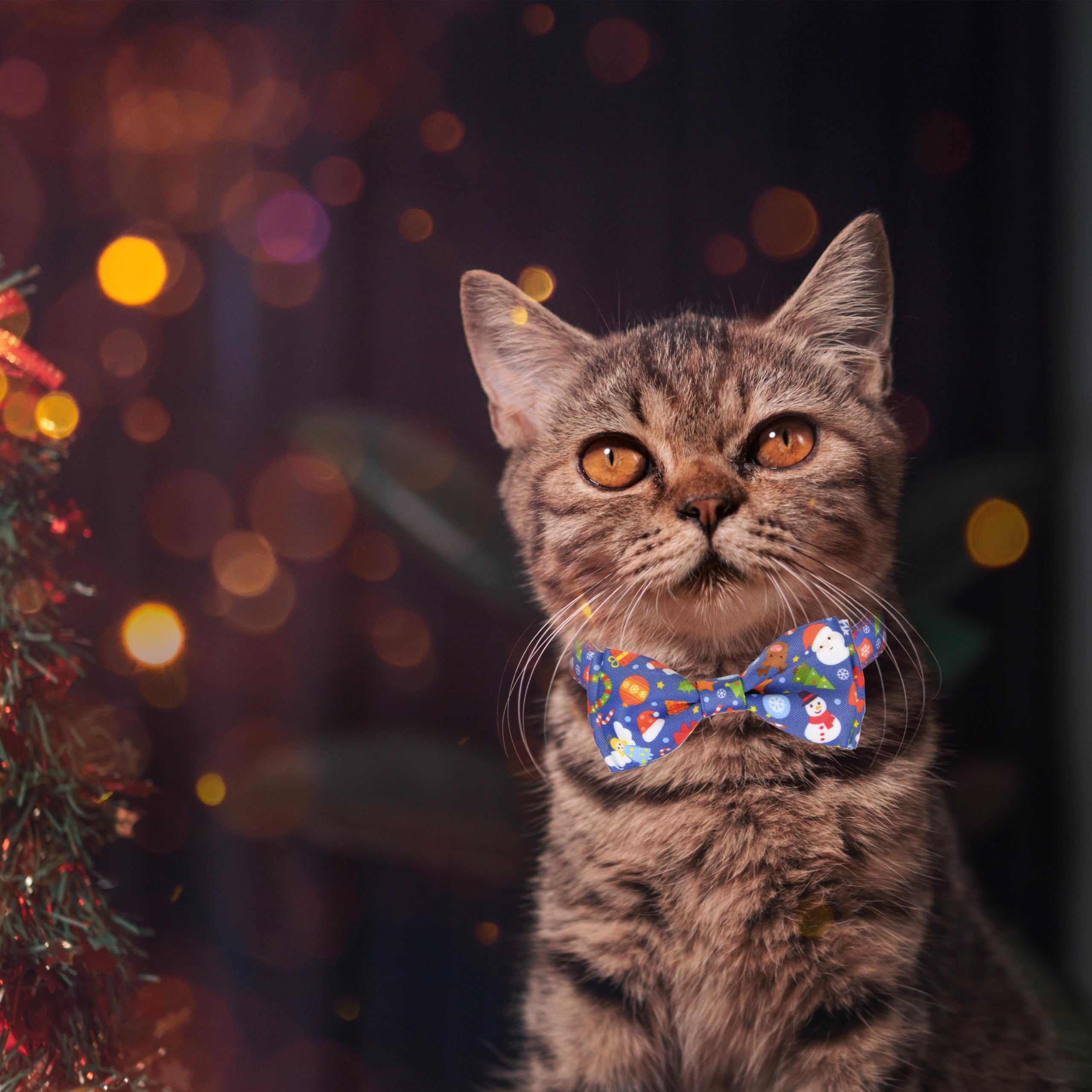 Pohshido soft, durable collar material offers comfort for long wear.