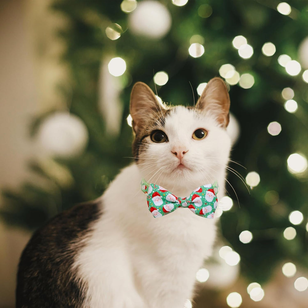 Pohshido soft durable fabric collar for comfortable all-day wear