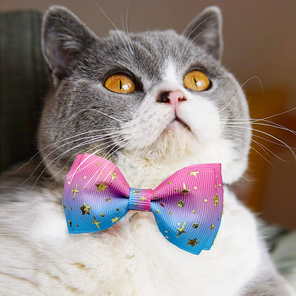 Pohshido Starshine black collar with bowtie for stylish daily wear.