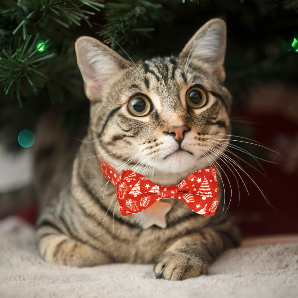 Pohshido two-pack Christmas collar set provides value and easy style coordination.