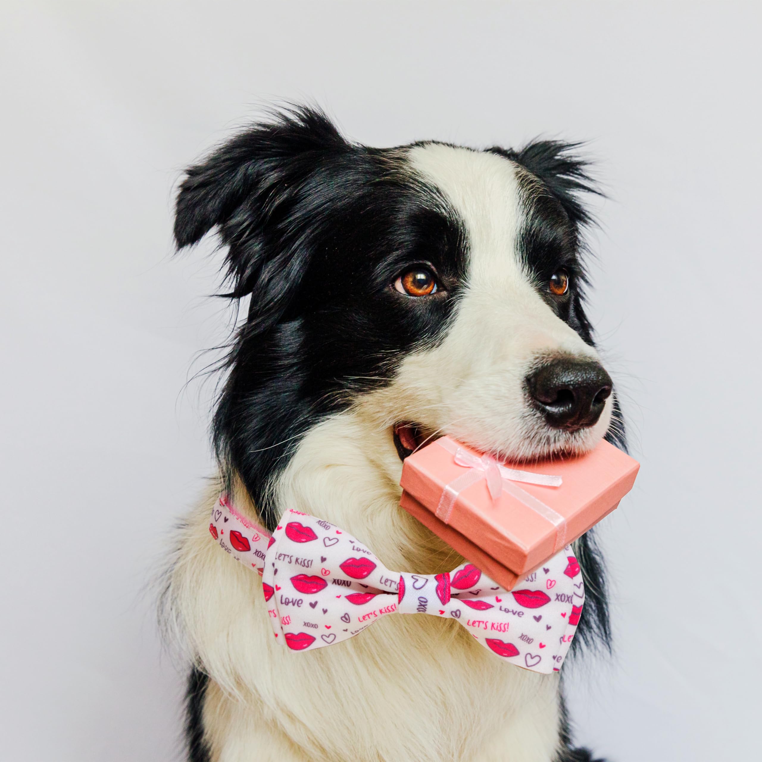 Pohshido Valentine collar with D-ring for tags and charms