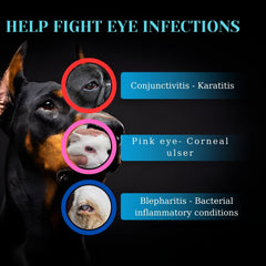 POLKA Terramypol eye ointment tube closeup shows creamy texture for gentle application.