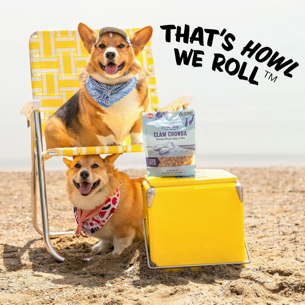 Polkadog versatile bites for all breeds and life stages during training.