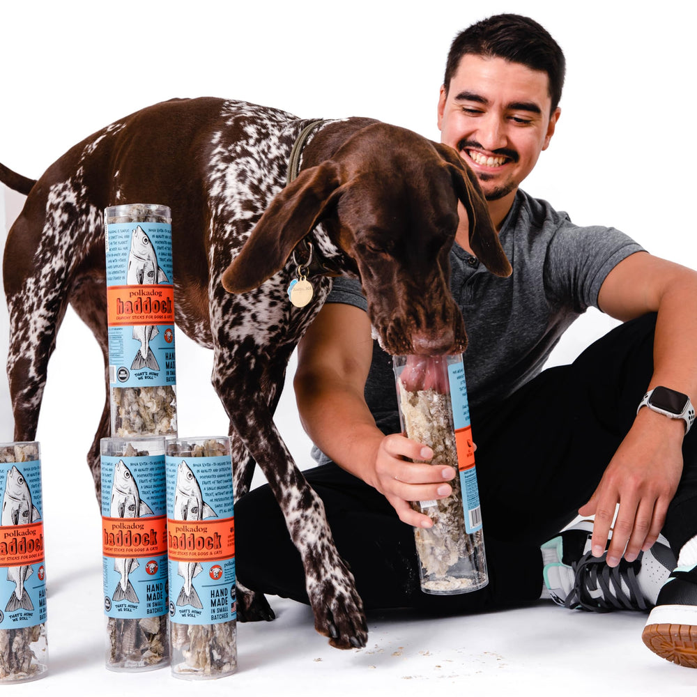 Polkadog Boston Fish Pier kitchen photo confirms USA-made treats from a trusted facility.