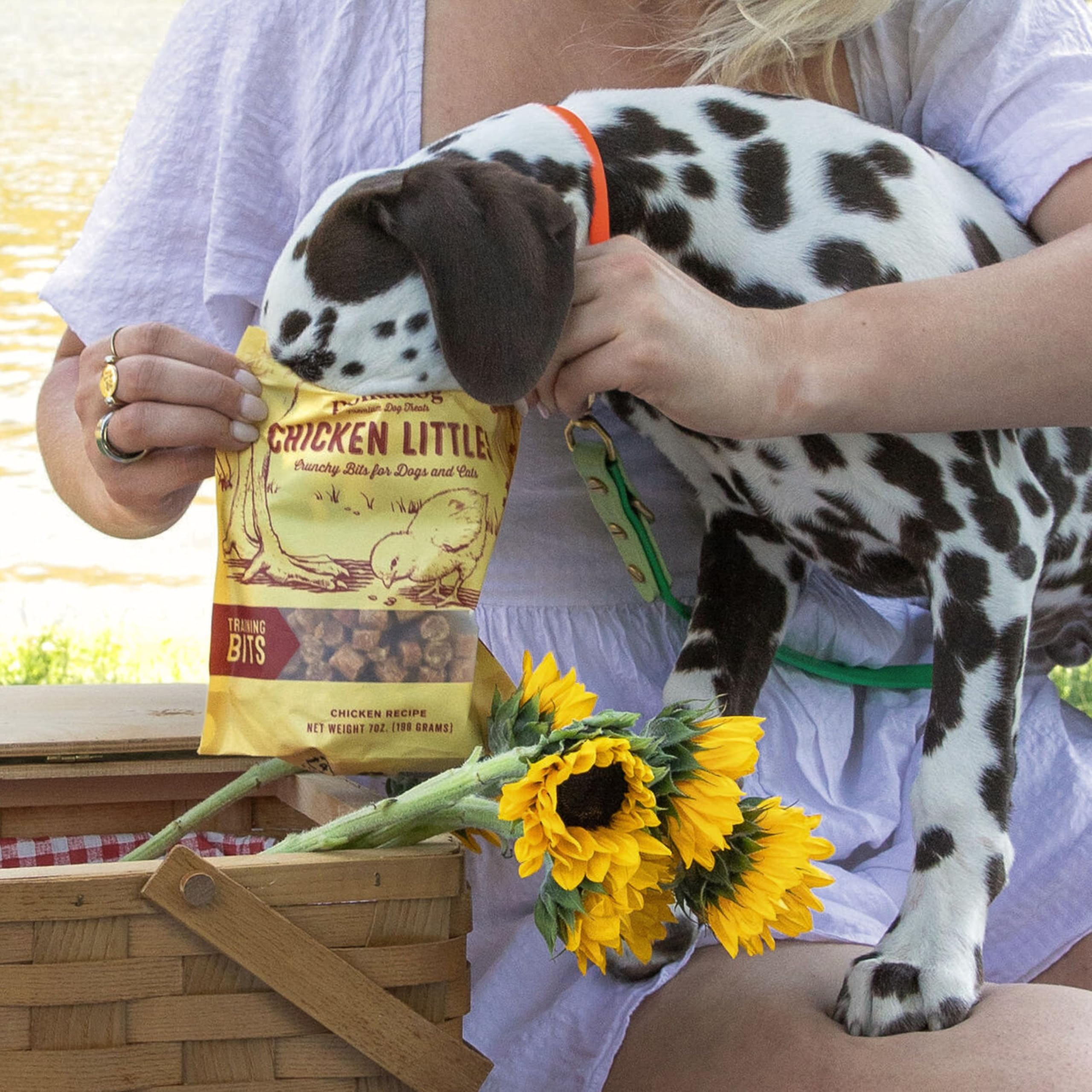 Polkadog Chicken Littles allergy-friendly bites suitable for sensitive stomachs.