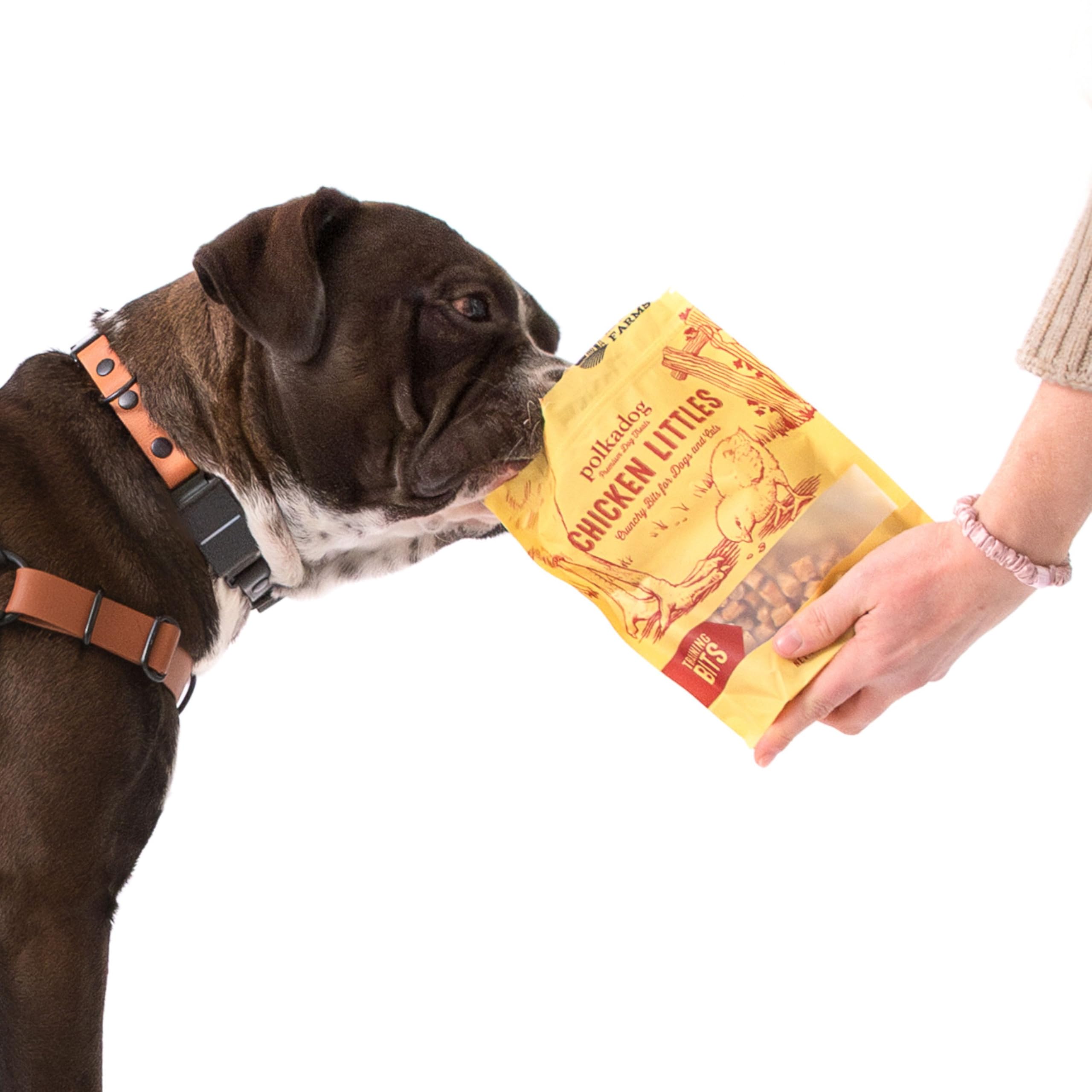 Polkadog Chicken Littles small-batch handcrafted quality for daily treats.