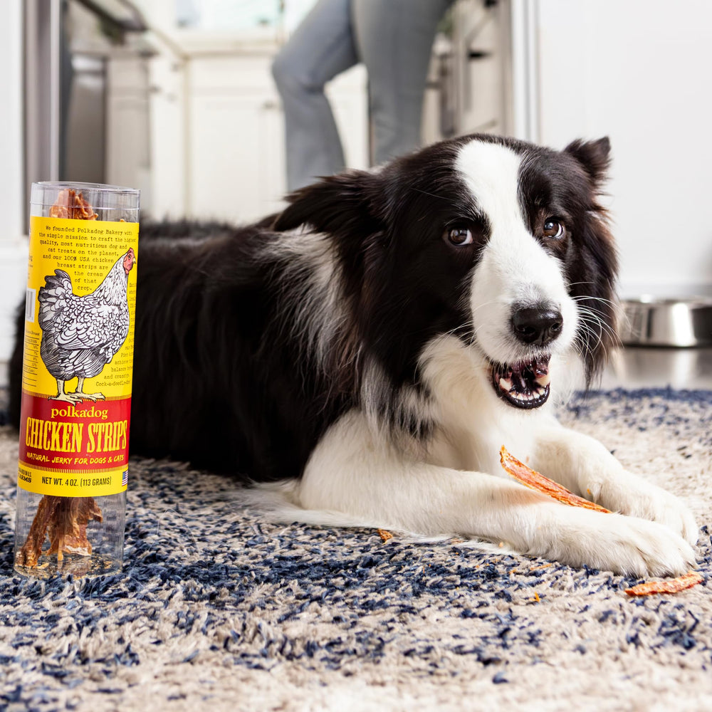 Polkadog Chicken Strip Jerky handmade in USA conveys small-batch quality.