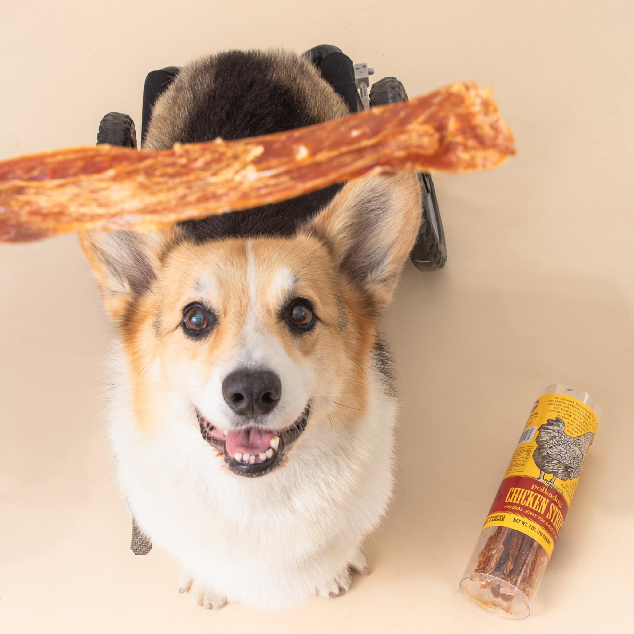 Polkadog Chicken Strip Jerky single-ingredient label conveys pure protein for dogs.