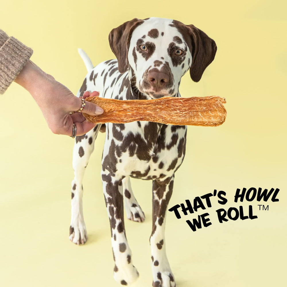 Polkadog Chicken Strip Jerky small-batch production hints premium, protein-rich snack.