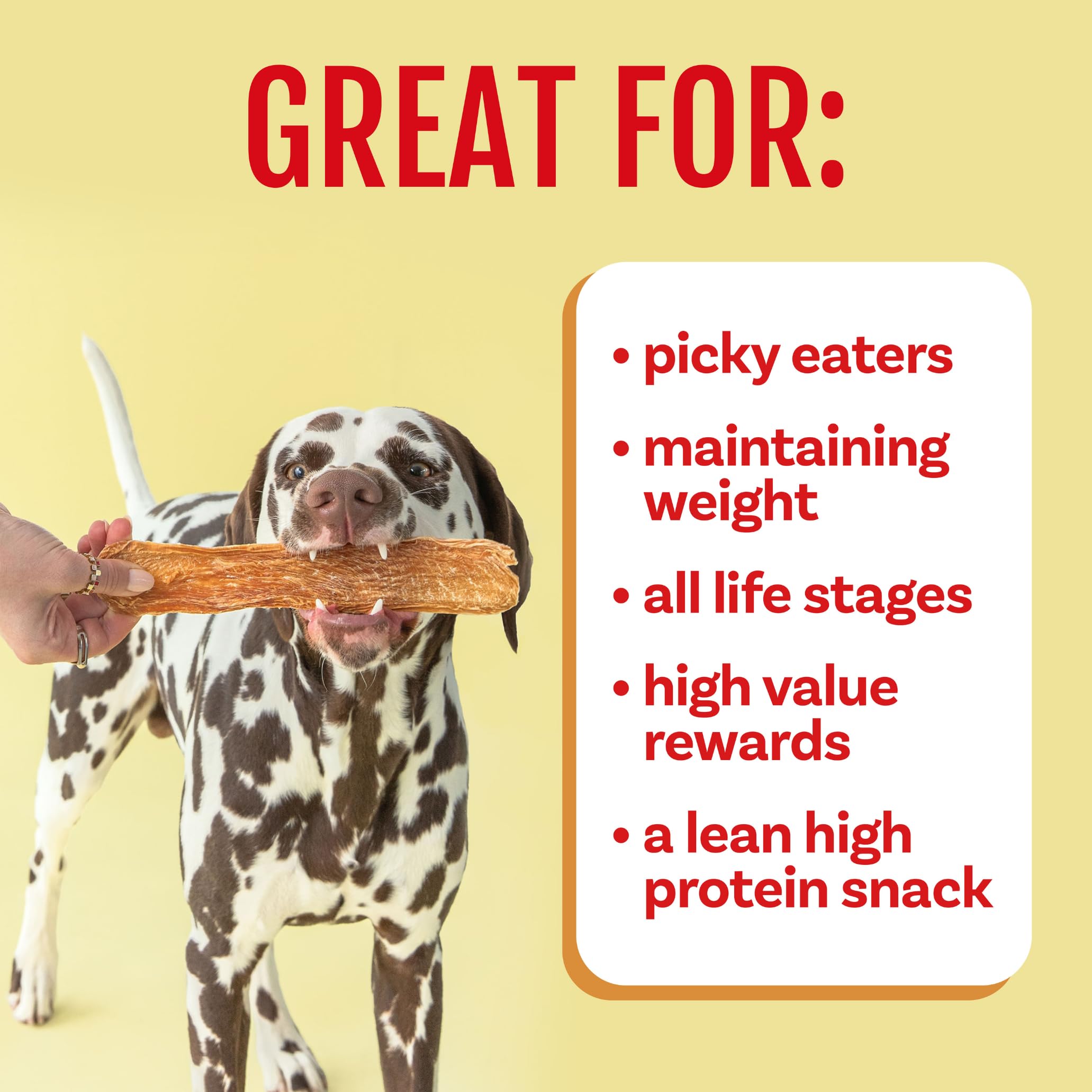 Polkadog Chicken Strip Jerky training-use scene demonstrates effective rewards.