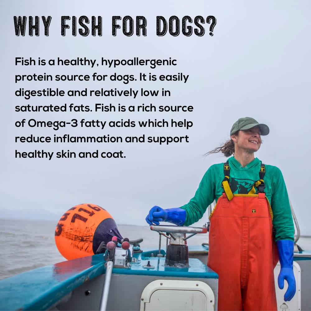 Polkadog Cod Skins all breeds image: suitable for dogs of all sizes and breeds.