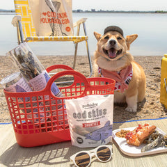 Polkadog Cod Skins single-ingredient cod skins highlight simple sourcing for discerning pet parents